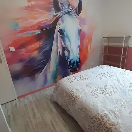 Logrment Entier 8 Personnes Circuit 24h Tatil Evi Sillé-le-Philippe